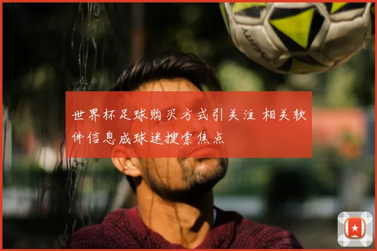 世界杯足球购买方式引关注 相关软件信息成球迷搜索焦点