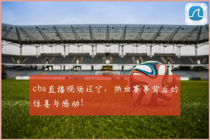 cba直播现场辽宁,热血赛事背后的惊喜与感动!